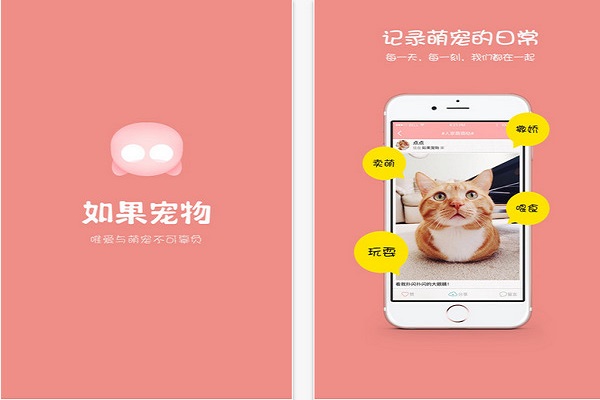 寵物APP開(kāi)發(fā)