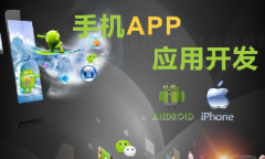手機(jī)app開發(fā)11大步驟、技術(shù)人員、常用接口