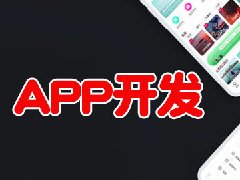 APP開(kāi)發(fā)費(fèi)用有哪些？APP開(kāi)發(fā)費(fèi)用一覽表