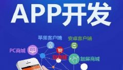 如何在您的APP開發(fā)中建立品牌印象？